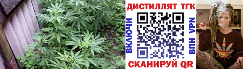 Дистиллят ТГК гашишное масло KRAKEN ссылка Долинск