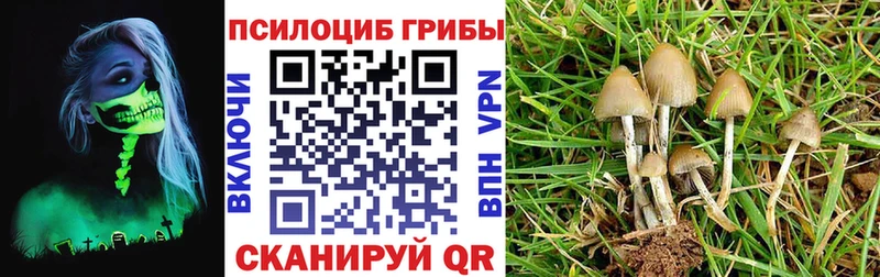 shop наркотические препараты  Долинск  Псилоцибиновые грибы Psilocybe 